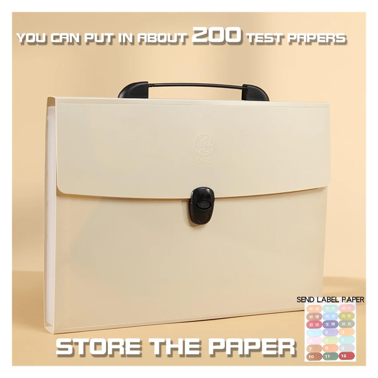 Borse di File Mesh Cartella portadocumenti A4, a strati, elegante, organizer da scrivania for materiale scolastico, ufficio, carta for test, cancelleria(Beige)