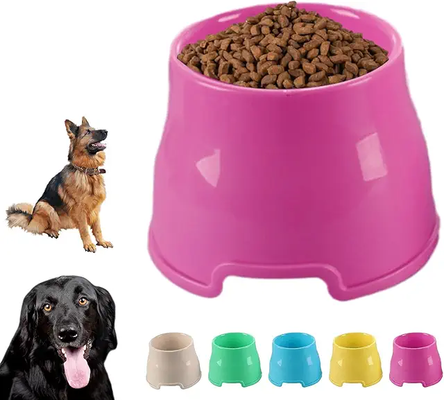 Gamelle surélevée pour Cocker : bol antidérapant pour chiens à longues oreilles