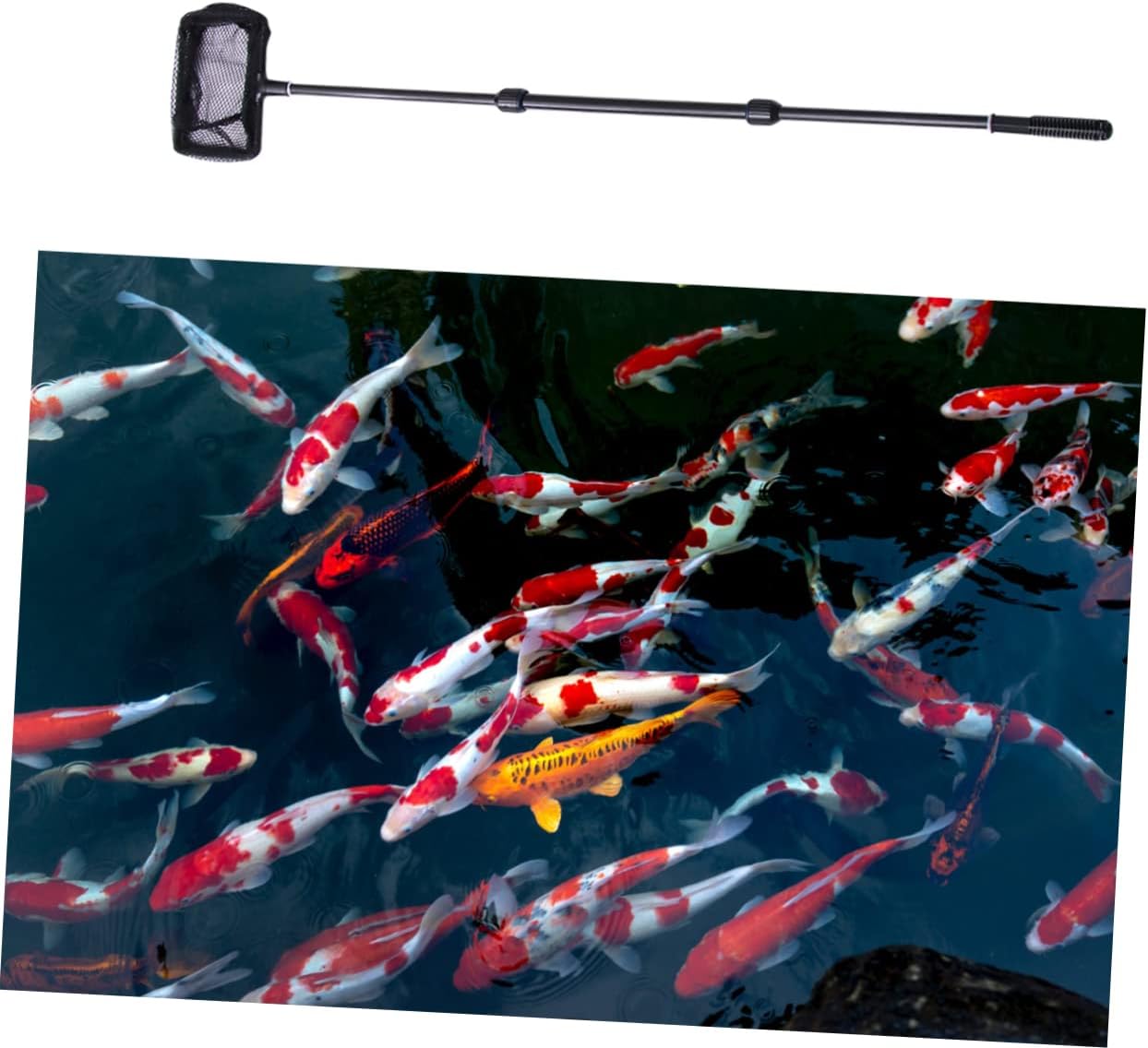 BESPORTBLE Extendable Telescopic Fishing Net for Fish Tanks and Lakes s Lightweight Design Mesh Ergonomic Skid-Resistant Handle Capture for Freshwater Use