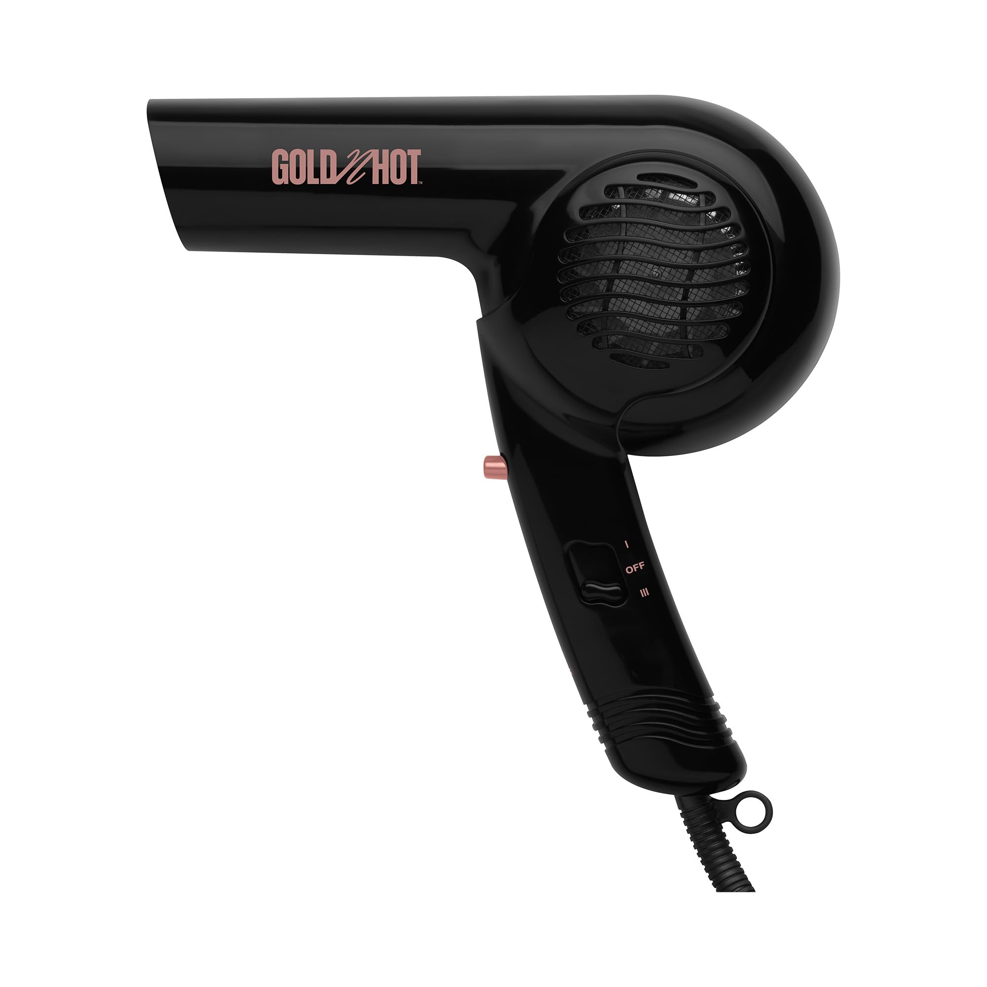 Amazon.com : Gold N Hot Professional 1875-Watt Dryer with Styling