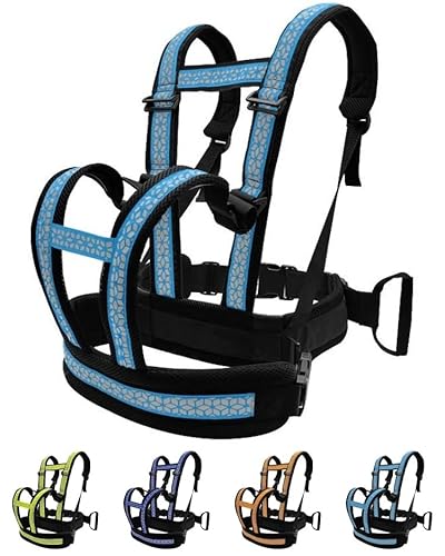 SJGEIDM 2h~V[gxg ̌^fUC eq l s t[TCY wZ s Ao[g Lv Vv y oCN qp ⏕/Œ/obNpbNX^C߉\  ʋCǍD (XJCu[,V_[YyAe