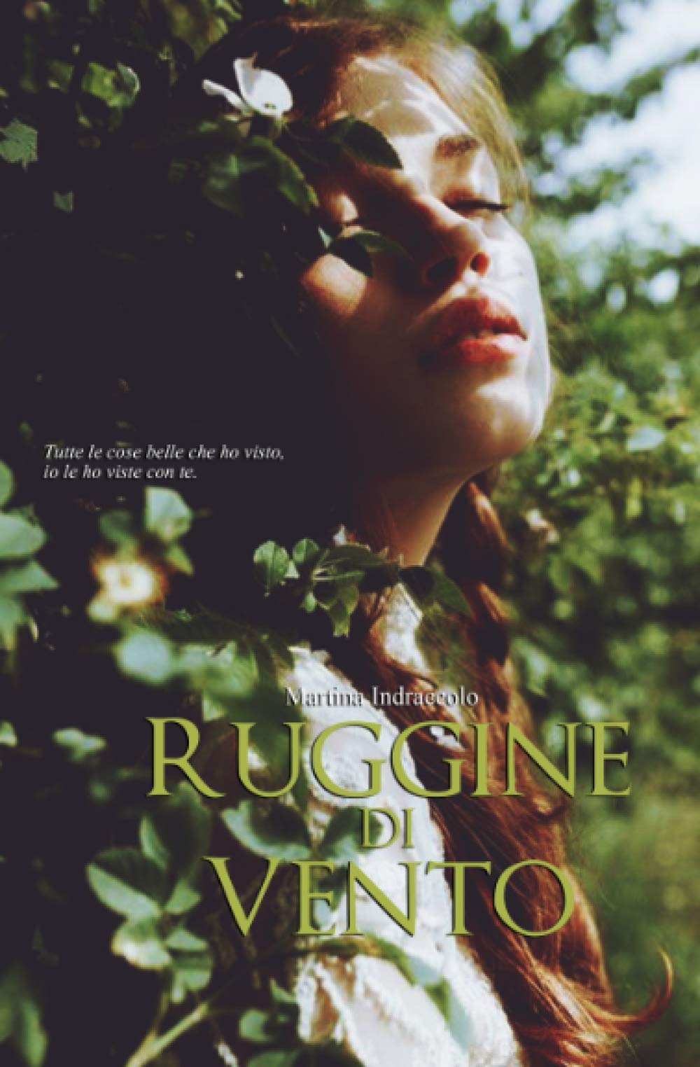 Ruggine di vento (Italian Edition)