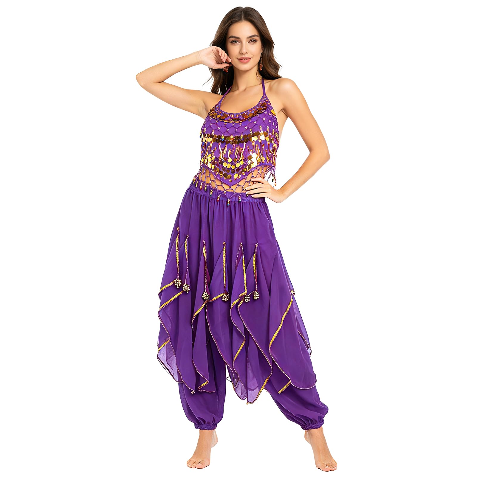 Baisdan 2 Piece Belly Dance Costume Set, Sequin Crop Top Harem Pants Set for Arabian Indian Halloween Carnival Dance Performance Purple