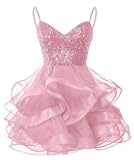 Sparkly Tulle Homecoming Dresses for Teens 2025 Sequin Short Prom Dress Layered DAMA Dresses Cocktail Mini Dress