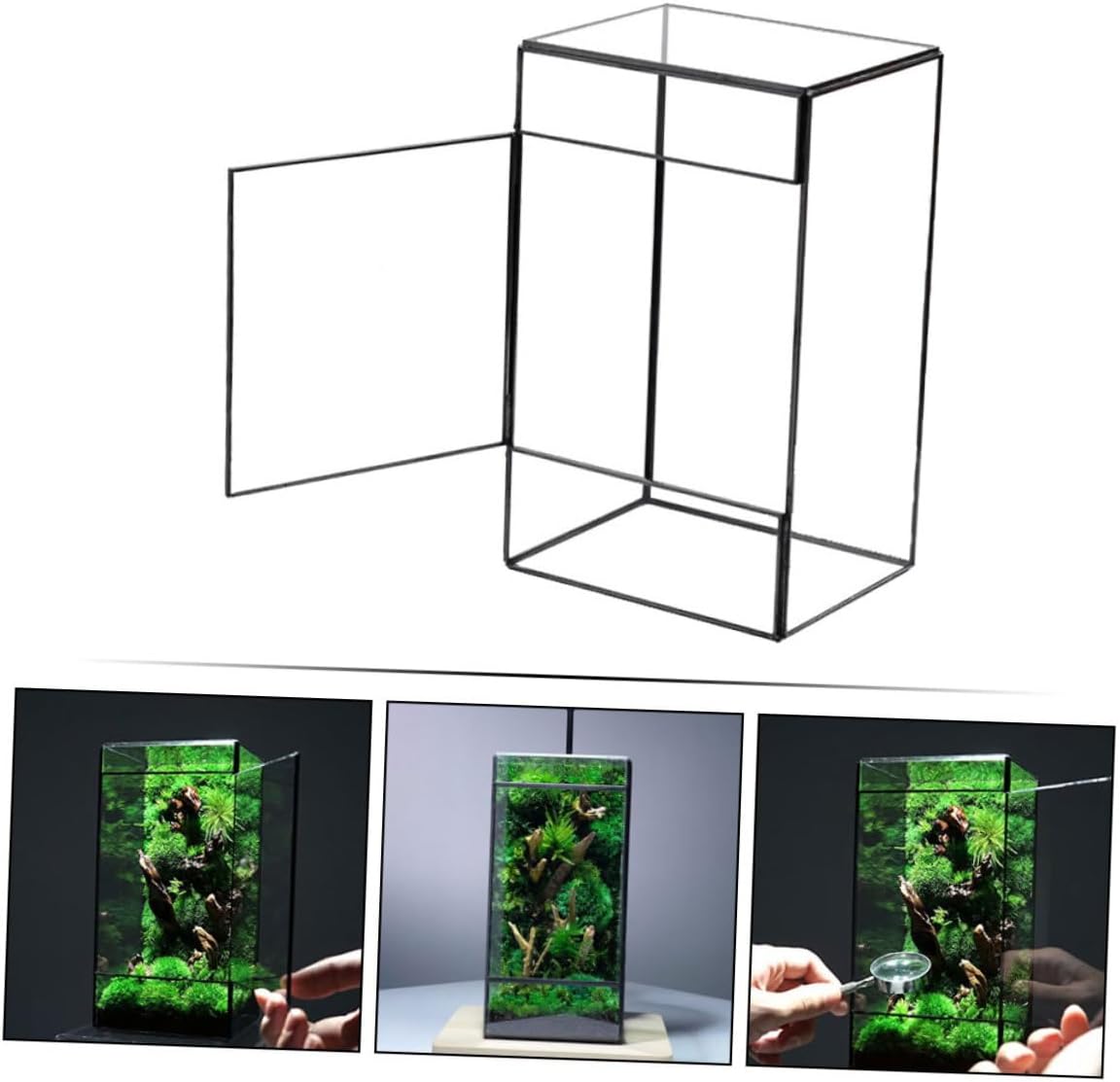 Glass Terrarium Landscape Design Mini Ecosystem Tank Small Moss Terrarium Plant Holder for Windowsill Planter