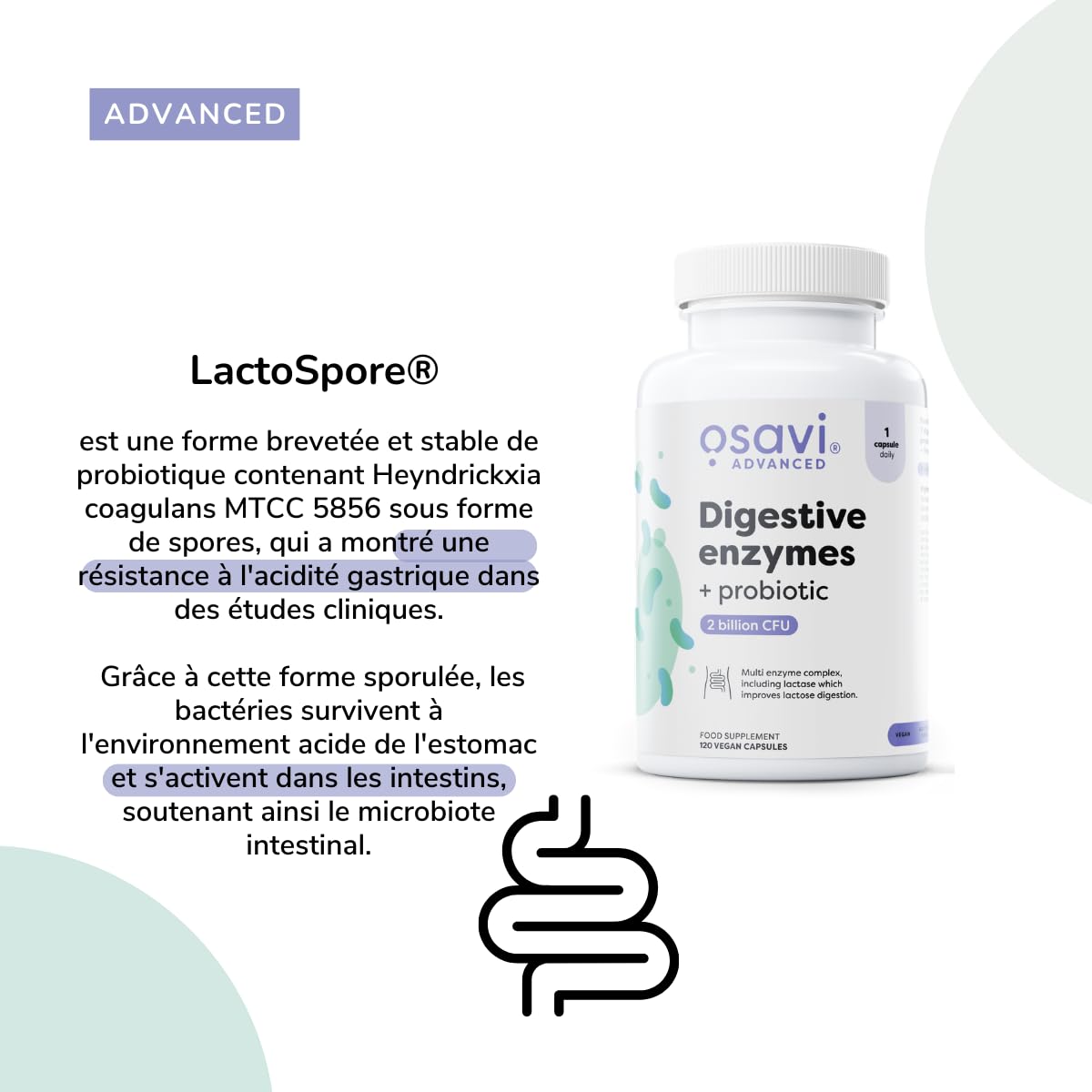 Osavi Enzymes Digestives + Probiotique – 120 Gélules Végétales | DigeZyme® + LactoSpore® | 7 enzymes digestives avec papaïne & bromélaïne | Ingrédients validés cliniquement | Clean Label
