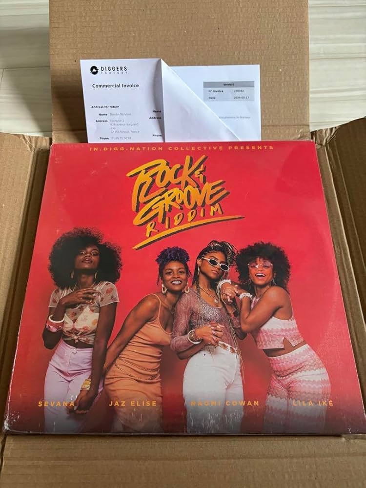Amazon.co.jp: Rock & Groove Riddim レコード a Ike : おもちゃ