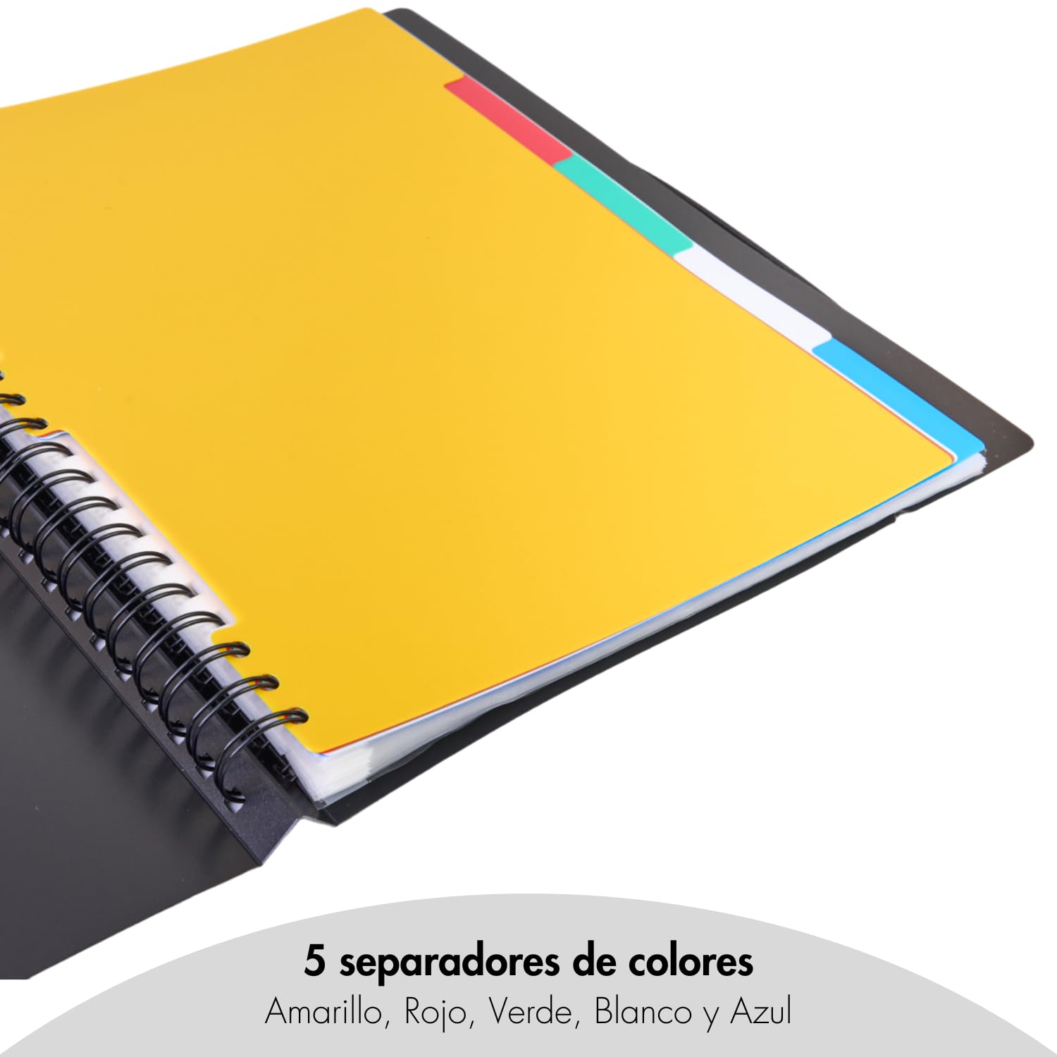 Dohe - Classeur Avec 20 Pochettes Amovibles - A4 (25 X 31 Cm), Anneaux Disques, 5 Intercalaires De Couleurs, Fermeture élastique - Fournitures De Bureau Et Scolaires