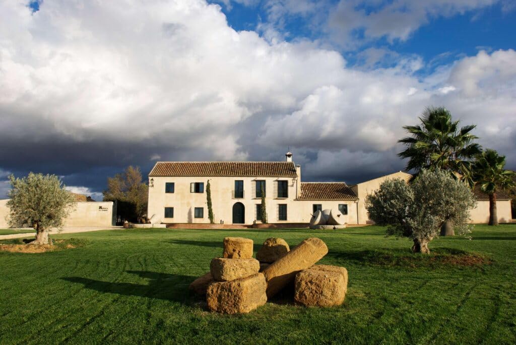 Nouvelle récolte novembre 2025 | Finca La Torre | Huile d'olive extra vierge biologique Hojiblanca - Bidon de 2,5 litres