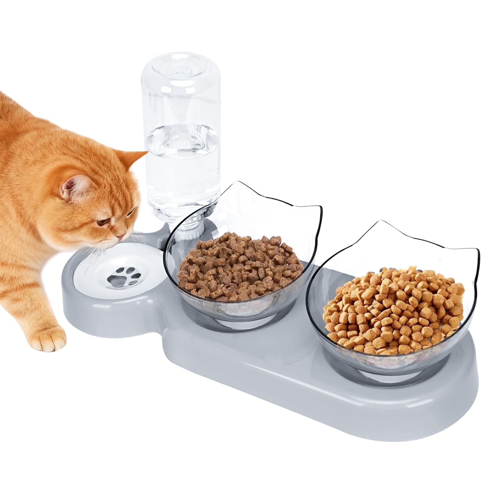 Gamelles surélevées anti-vomissements pour chats : soulagez le cou de votre animal de compagnie