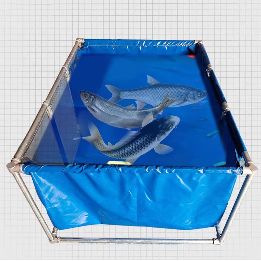 Grand aquarium portable pliable en PVC avec fenêtre transparente et valve de vidange pour une installation et un entretien faciles