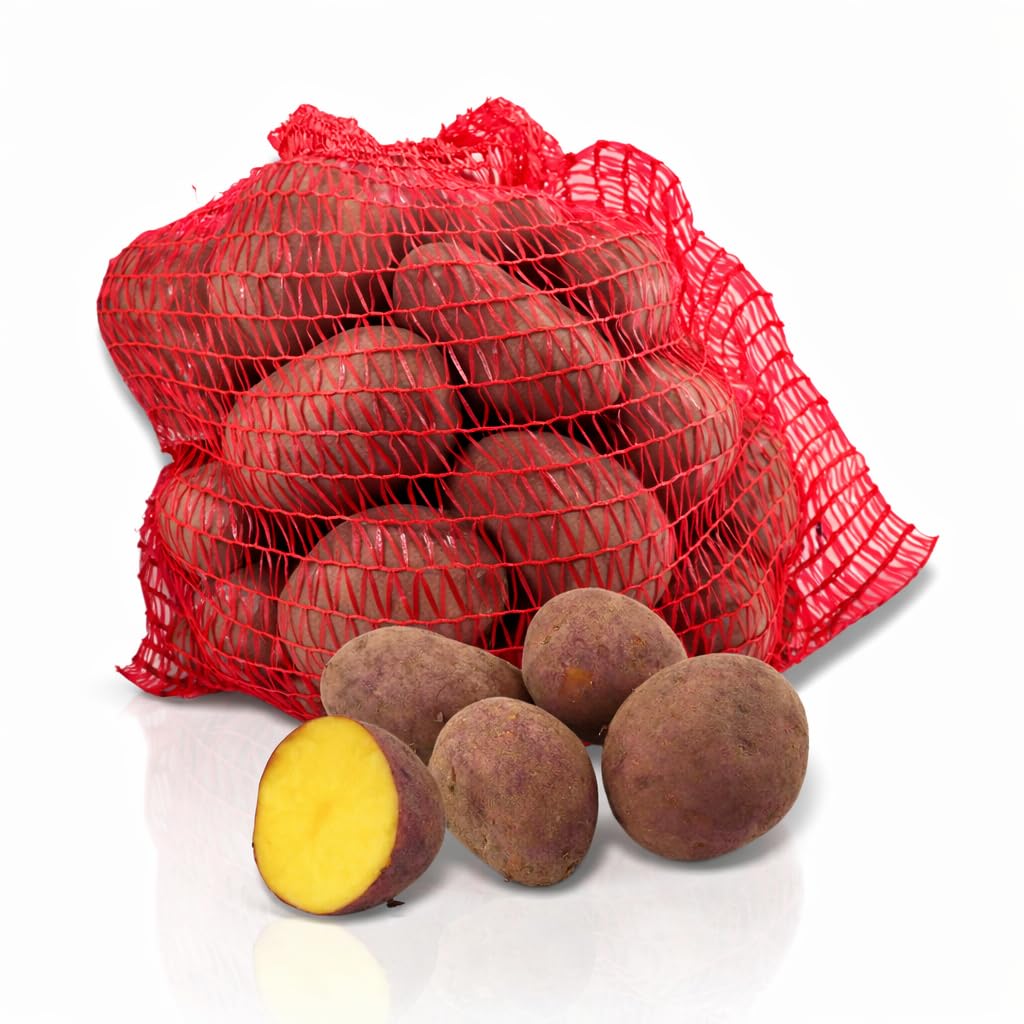 FRUCHTVERSAND24® Speisekartoffeln Laura 12,5kg | lecker und cremig im Geschmack | sehr gelbfleischig | vorw. festkochend | für Ofenkartoffeln, Pommes Frites, Salzkartoffeln, Wilde Kartoffeln