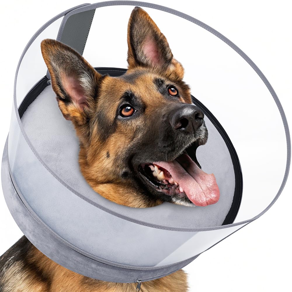 BARKLESS Dog Donut Collar