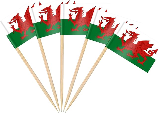 AhfuLife 100/200pcs World Cup 2022 Wales Toothpick Flags Cake Toppers, Welsh Cocktail Stick Flag for Sandwich Food Cupcake Toppers Tableware Party Supplies Pub Royal Event Decor (100 Pcs)