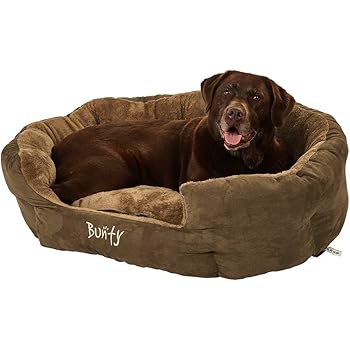 bichon pekingese mix puppies