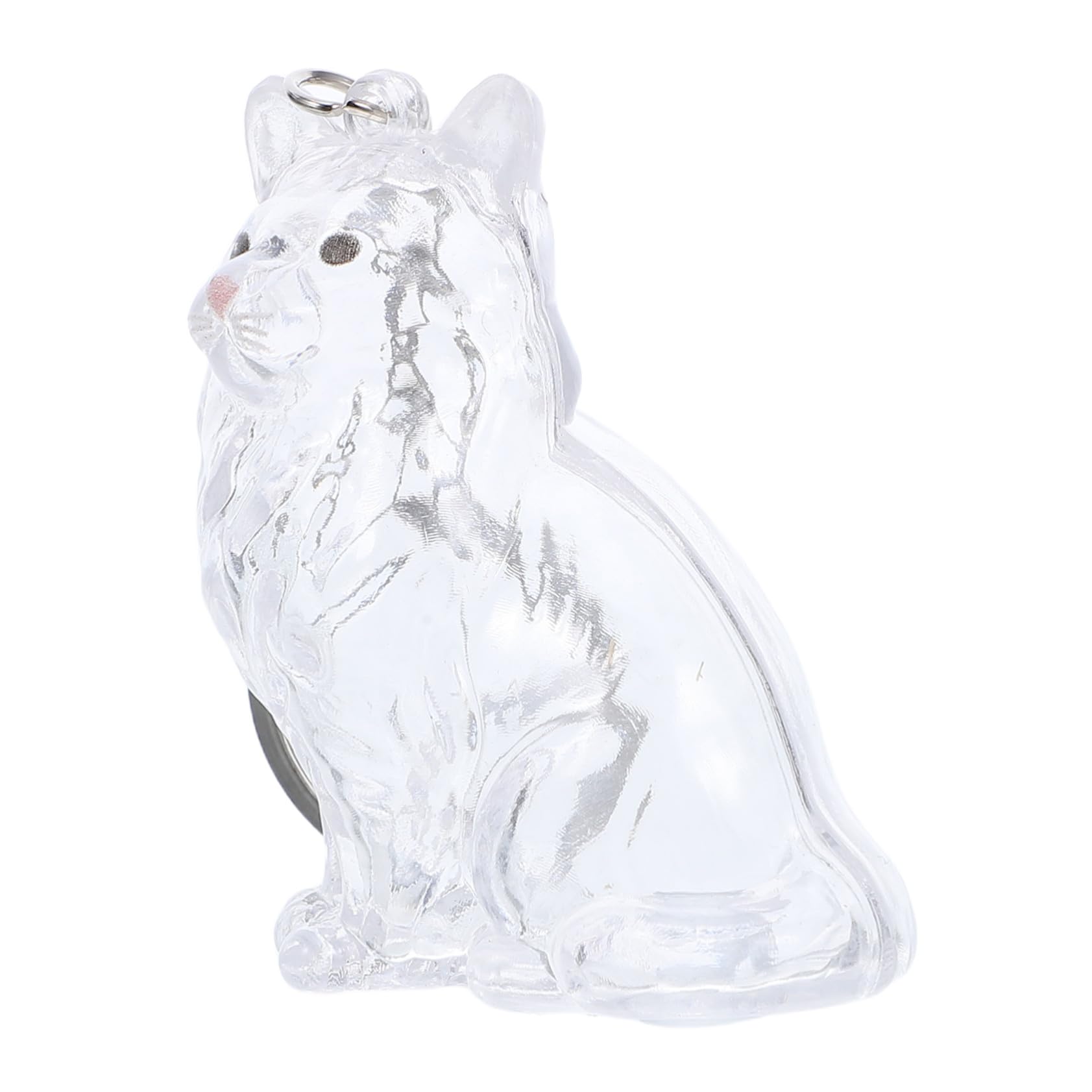 Caja Transparente para llevar recuerdos de mascotas durante tus paseos diarios y fiestas