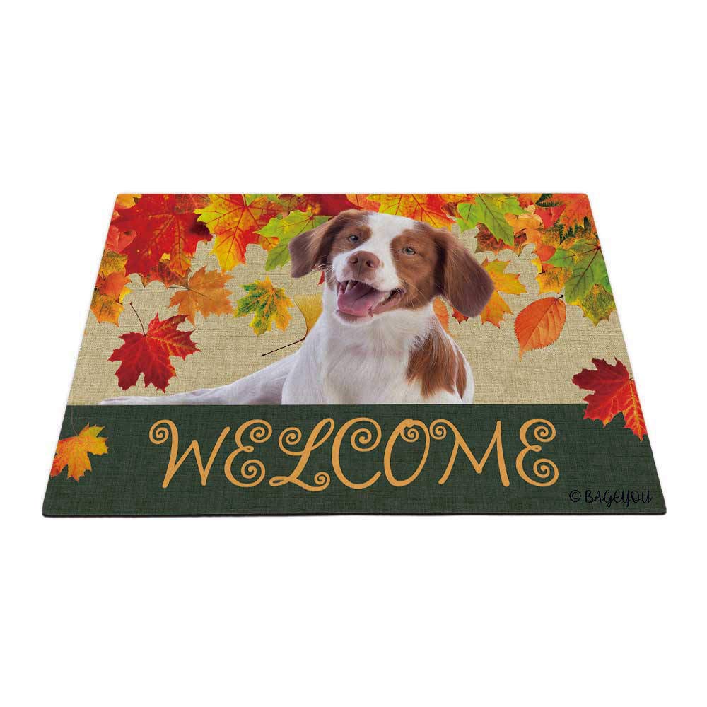 BAGEYOU Welcome Fall with My Favorite Dog Lovely Brittany Spaniel Outdoor Doormat Maple Leaf Harvest Season Rustic Decor Porch Rugs Floor Mat 27.5" x 17.7"