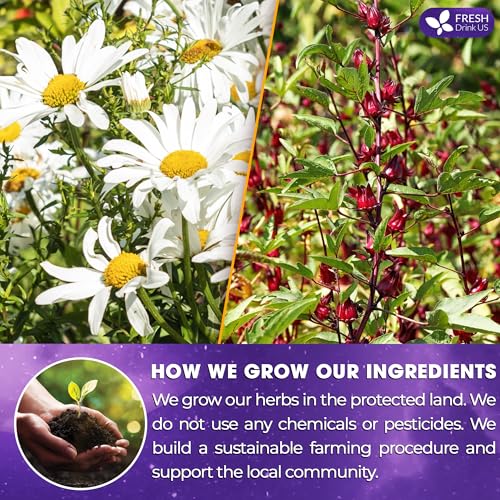 Image of Refreshing Mint Herbal 60 Tea Bags - Special Blend Of Spearmint and Peppermint with Chamomile, and Top Herbal Ingredients for Digestive Comfort & Relaxation, Caffeine-Free, Naturally Sweet, Non GMO