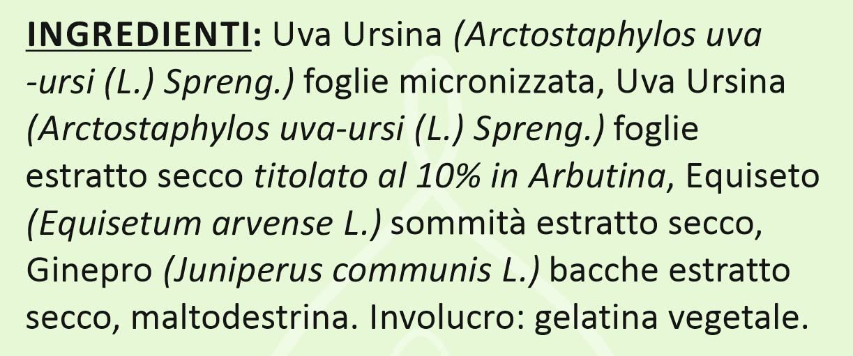 Herbo Veneta Uva Ursina Composto - 100 Capsule da 500 mg