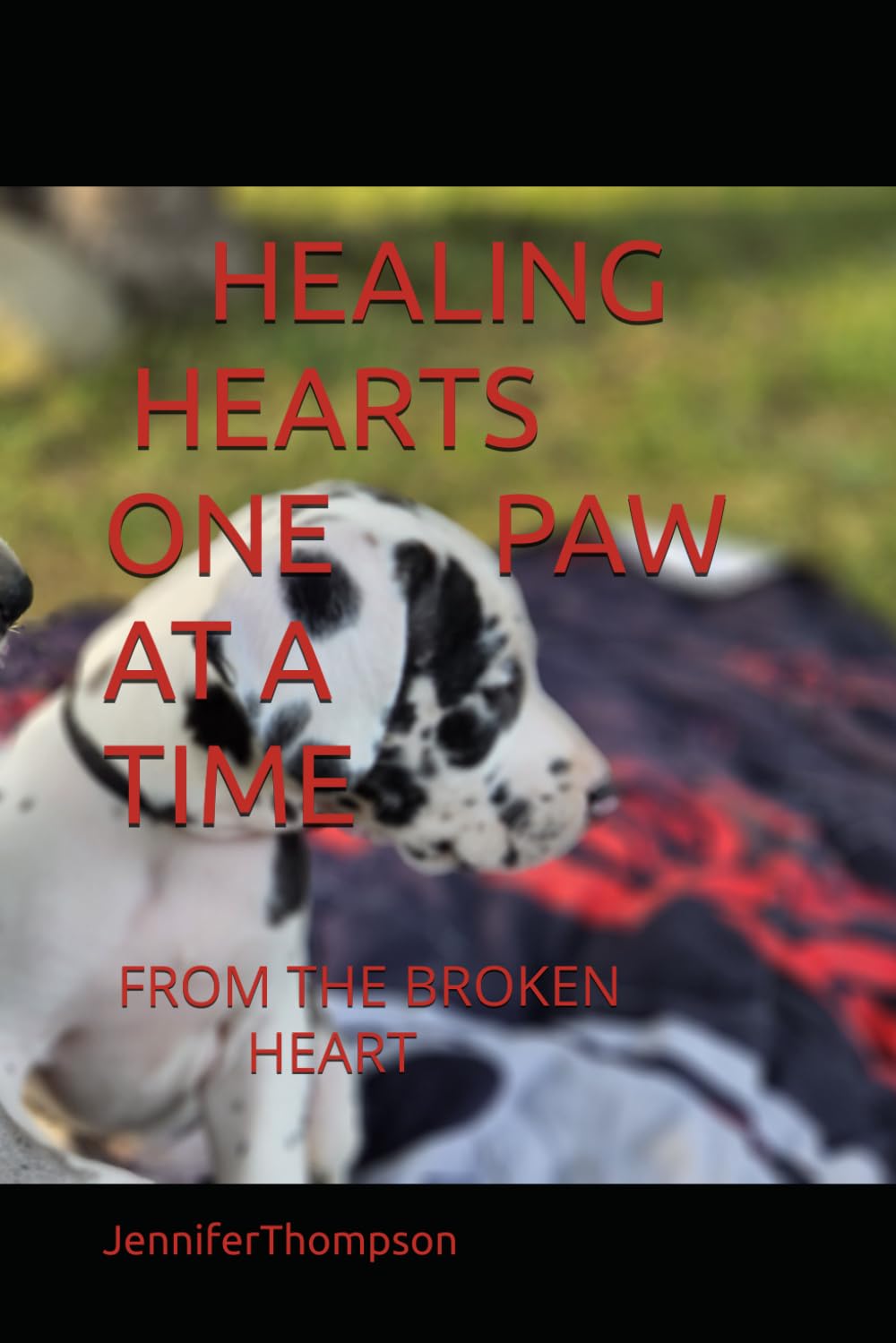 HEALING HEARTS ONE PAW AT A TIME: FROM THE BROKEN HEART