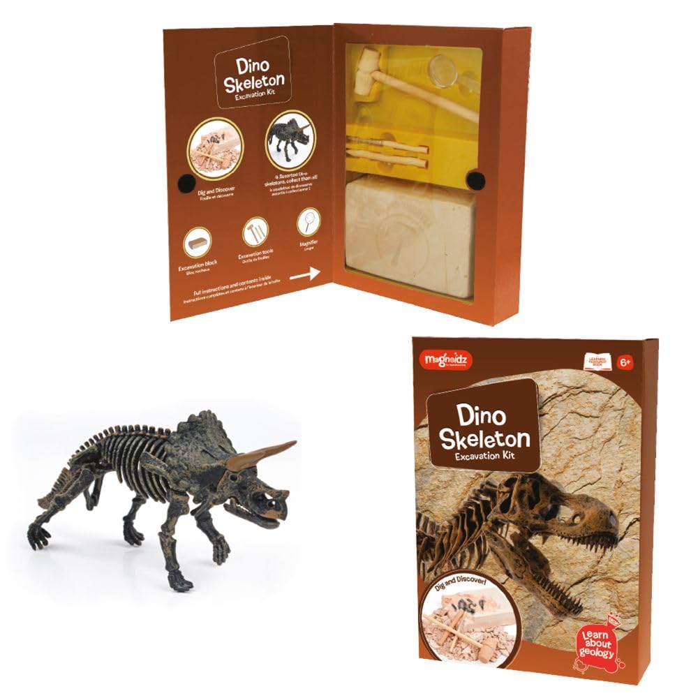 Kit de excavación y excavación de fósiles de Dinosaurio de geología