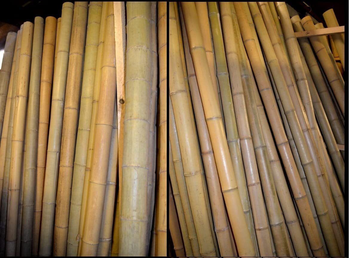 Dixiestore Pali Decorativi per Piante di Bambù Spessi - Bastoncini di Fiori 100% Naturali - Canne per Tralicci di Bambù - Supporto per Piante per Casa e Giardino - 190cm 50/60mm
