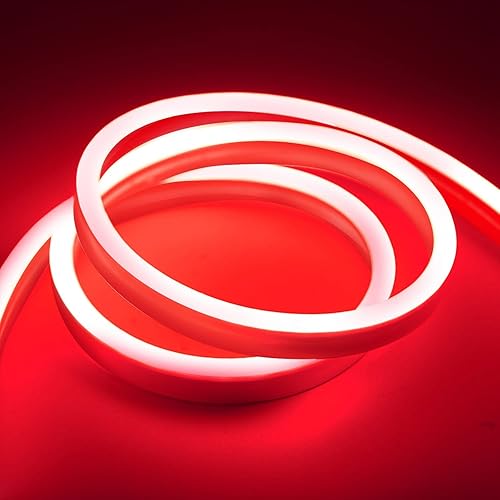 GUPUP Luces de neón (blanco cálido), tira de luces LED de 16.4 pies, 24 V, 600 LED, flexible, impermeable, luces LED para dormitorio, sala de