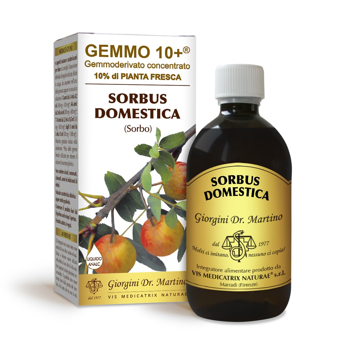 Dr Giorgini Integratore Alimentare, Sorbo Domestico Gemmoderivato Concentrato Liquido Analcoolico - 500 ml