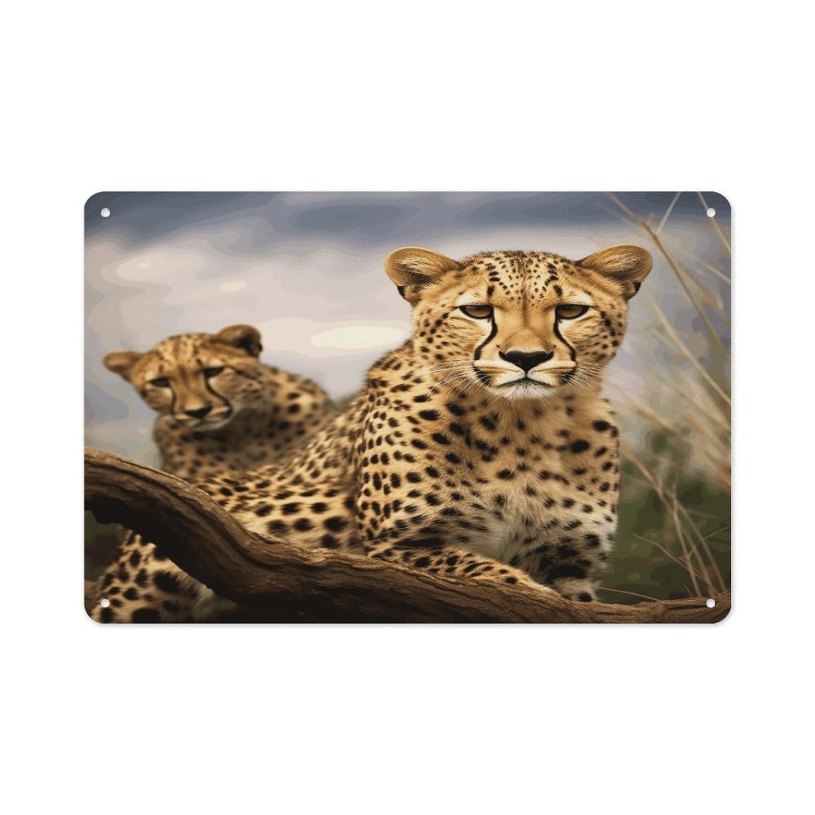 VstaDank Vintage Metal Sign Sublimation Aluminum Cool Leopard Plaque Sign Weatherproof Art Decorative Wall Plate Boho Aluminum Wall Hanging Decor Retro Poster Plaque 8x12in