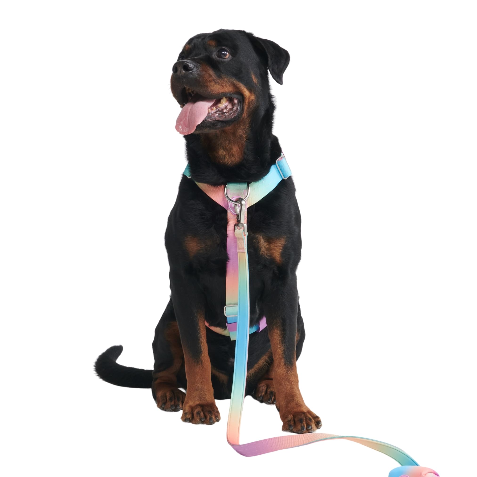 Spark Paws No-Pull Dog Harness - Designed for Safety and Control, Ideal for Large, Strong Breeds - Pitbulls, Boxers - Pastel Icing, L