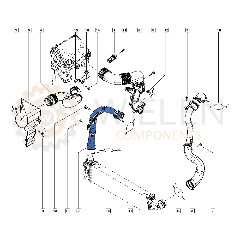 WIELEN Compatible con manguito Intercooler Tubo Turbo Aire Fiat TALENTO NISSAN NV300 OPEL VIVARO B RENAULT TRAFIC III 1.6 DCI 144606126R