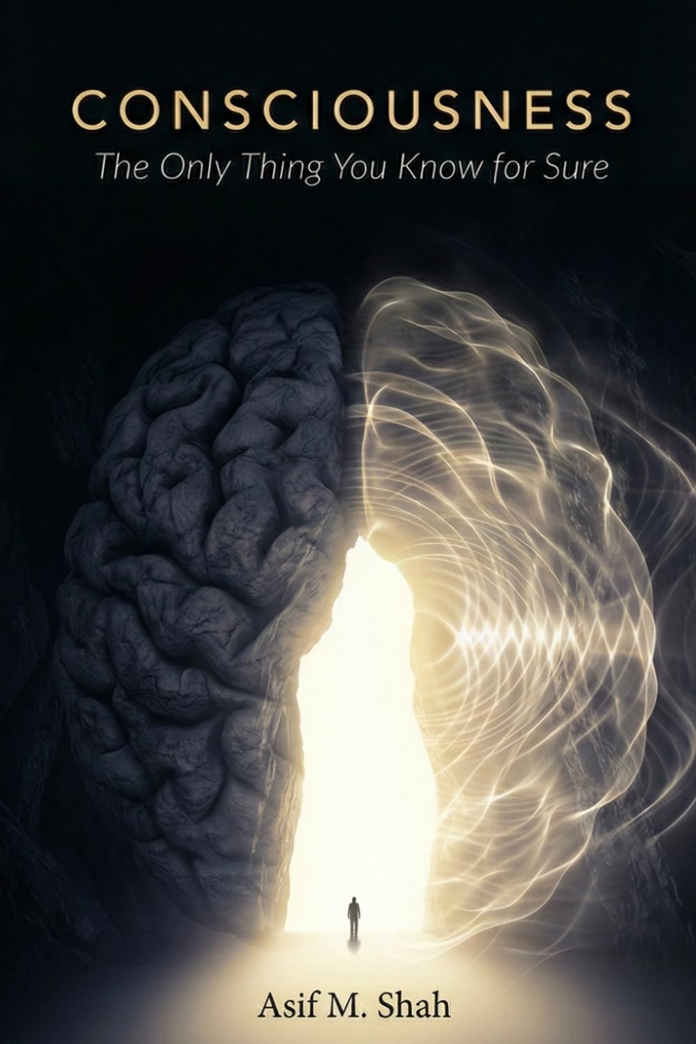 CONSCIOUSNESS: The Only Thing You Know for Sure