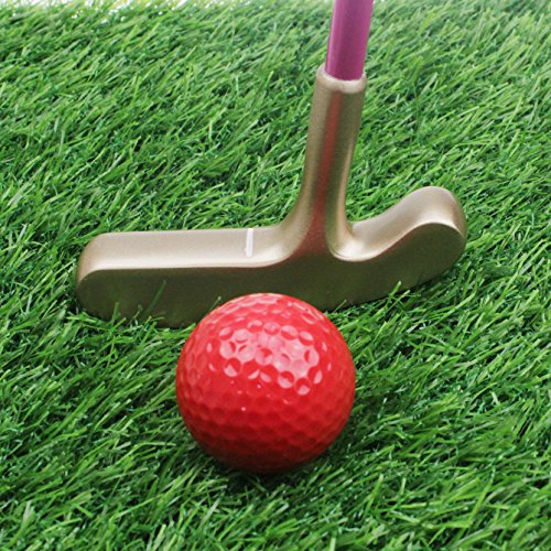 CRESTGOLF Kids Junior Rubber Golf Putter Gold Head with White Shaft and Pink