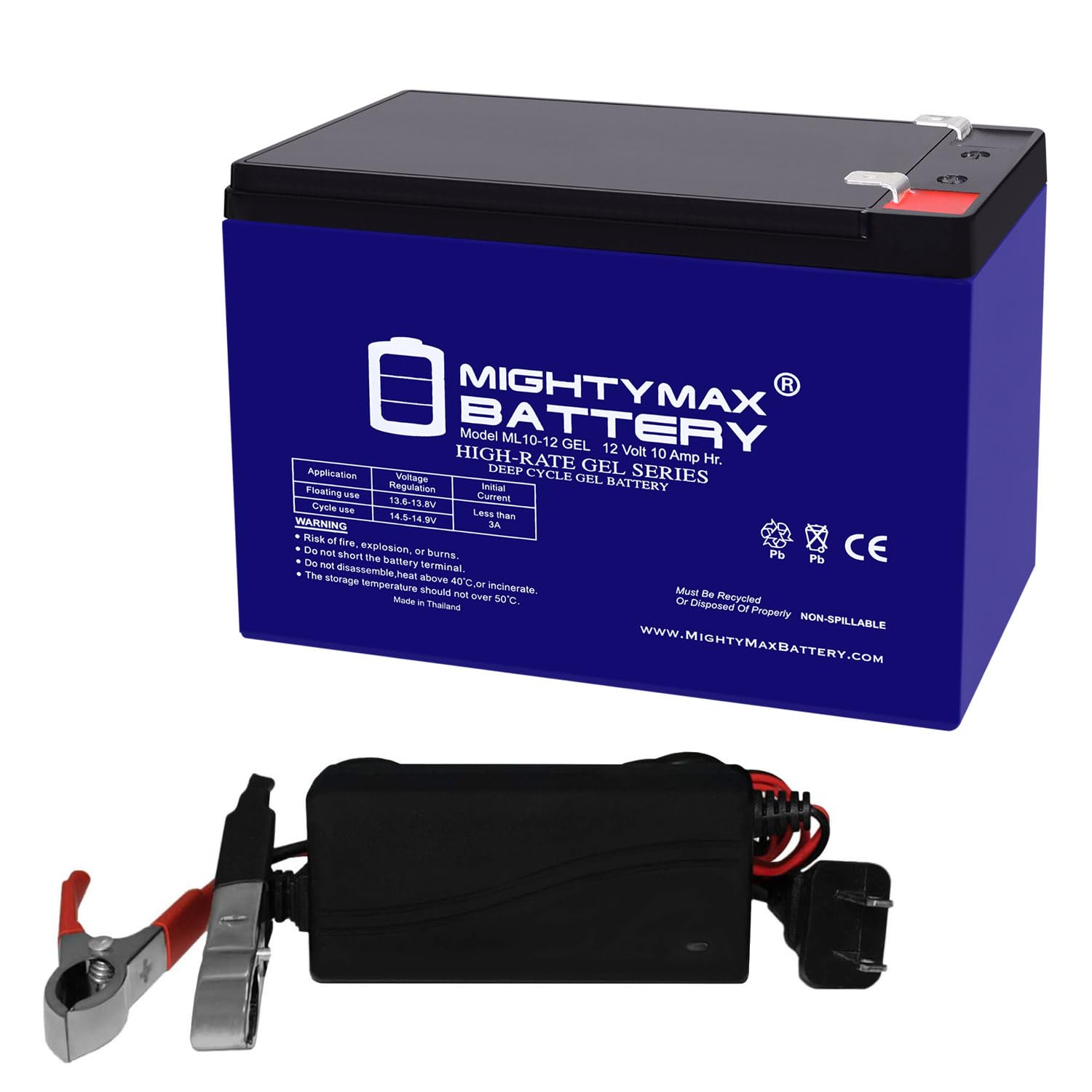 12V 10AH Gel F2 Replacement Battery Compatible with Sonnenschein A212/9.5S + 12V Charger