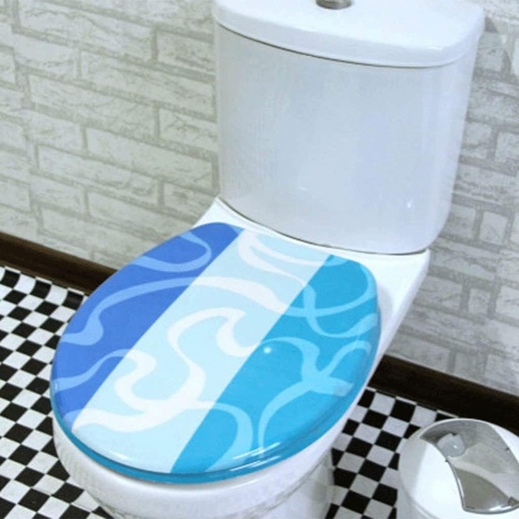 Toilet Lid - Seat will Slow Close, Never Loosen and Provide the Fit, Highly Stylized