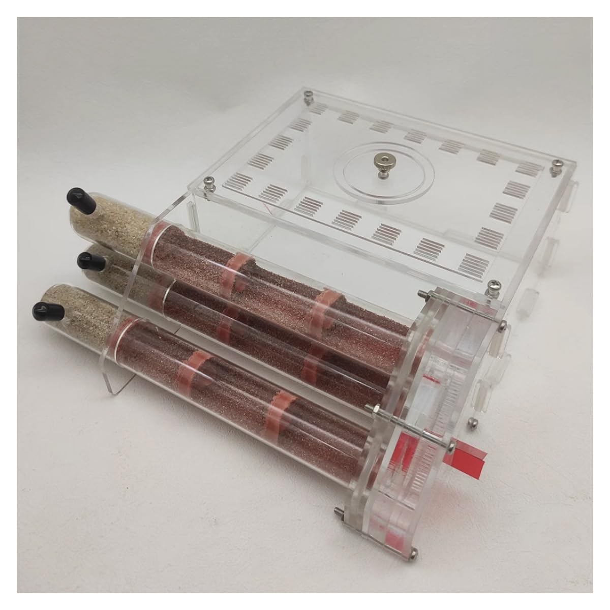 Formicaio, Provetta for formiche in acrilico Allevamento di regine per(With test tubes)