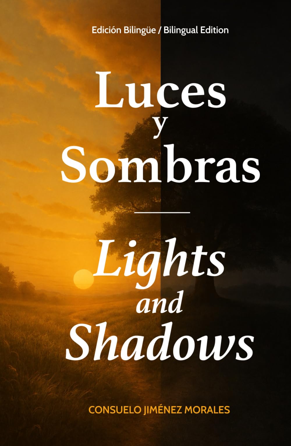 Luces y sombras / Lights and shadows: Edición bilingüe / Bilingual Edition