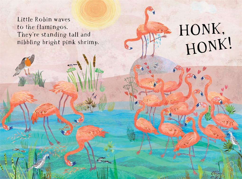 Little Robin's Book of Birds: 16