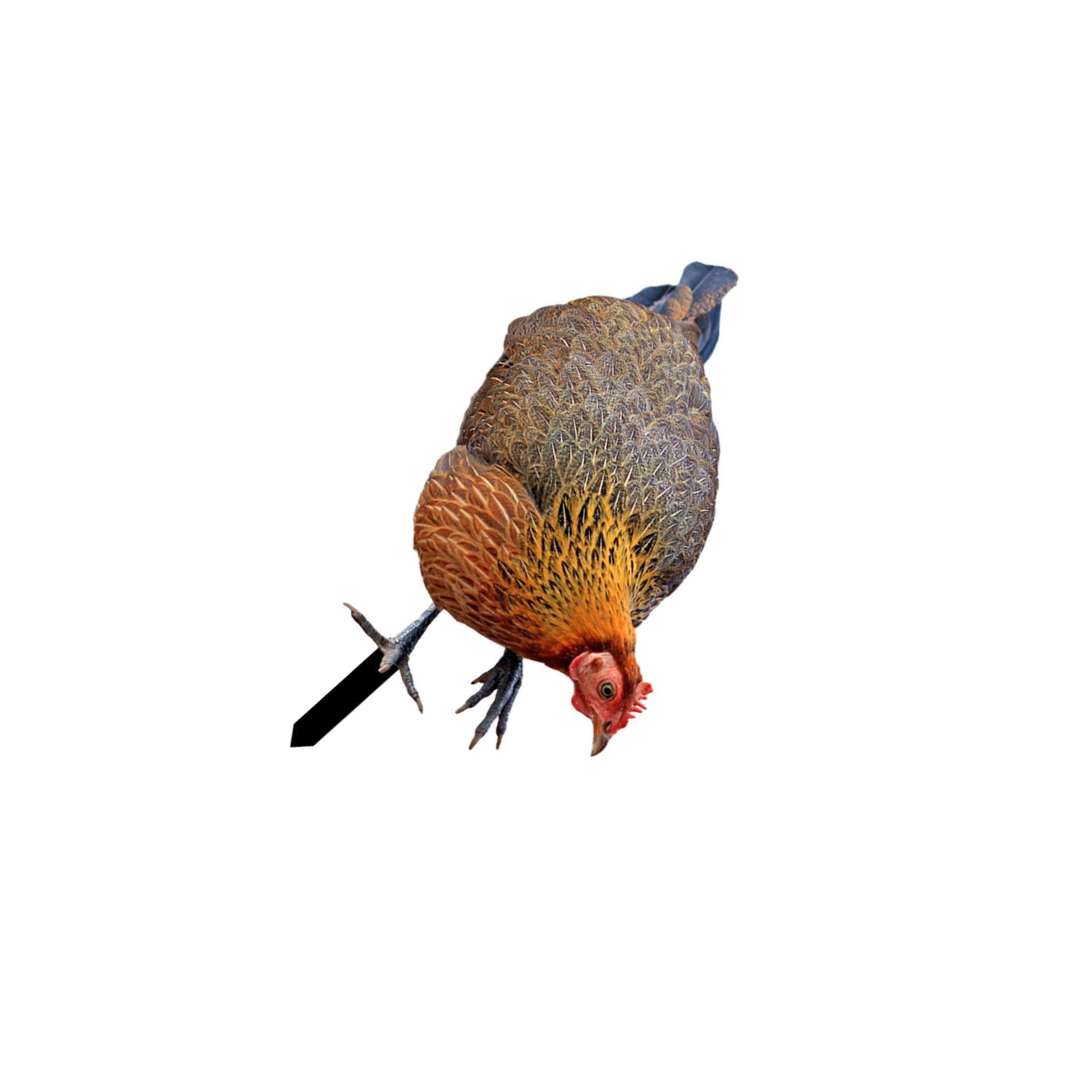 QIXCXAZ Adorable Chicken Sculpture Backyard Decoration Unique Hen Yard Figures Relaxing Outdoor Spaces No Additional Tools Are Required Pathway Lawn Yard, Type A