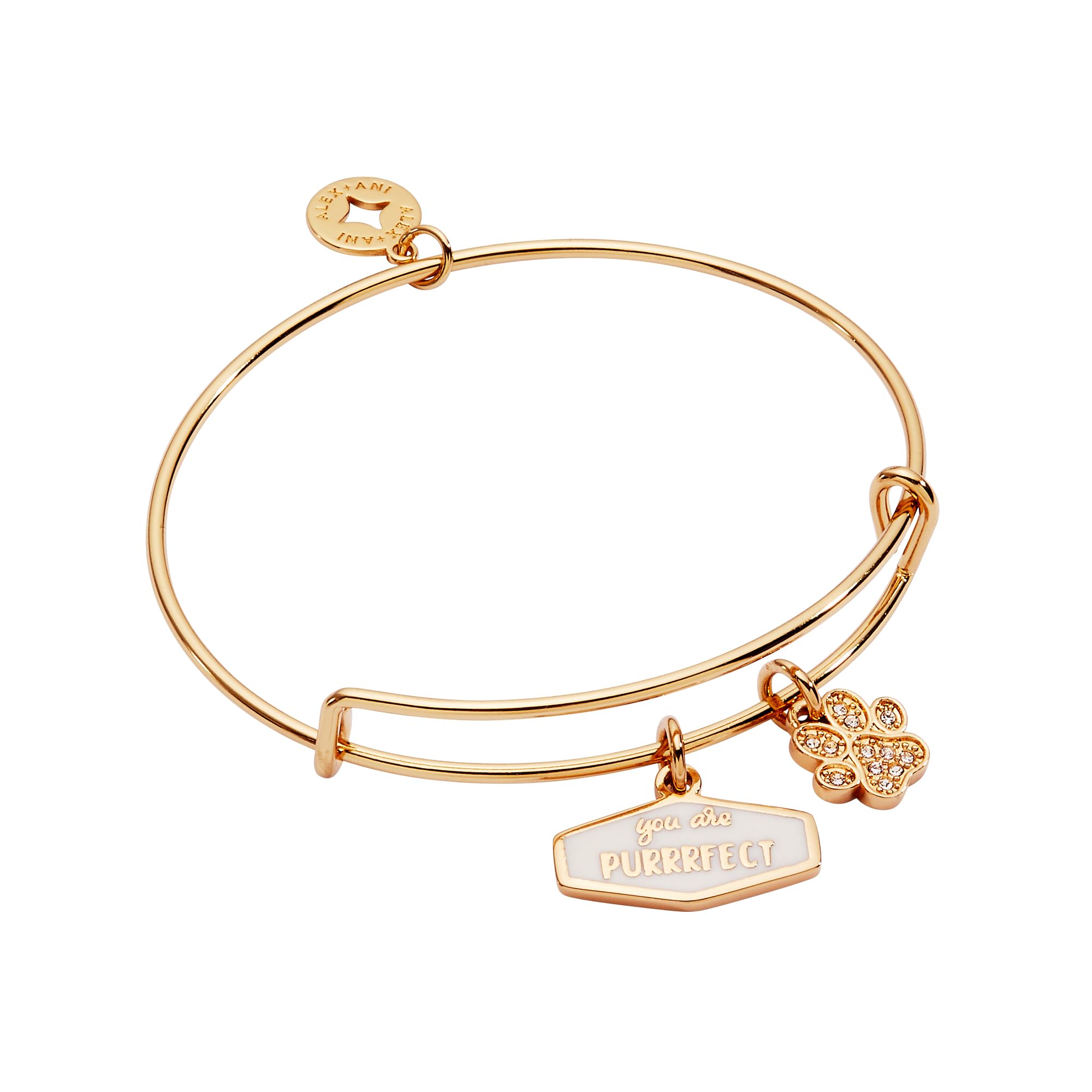 ALEX AND ANI Pet Love Bracelets