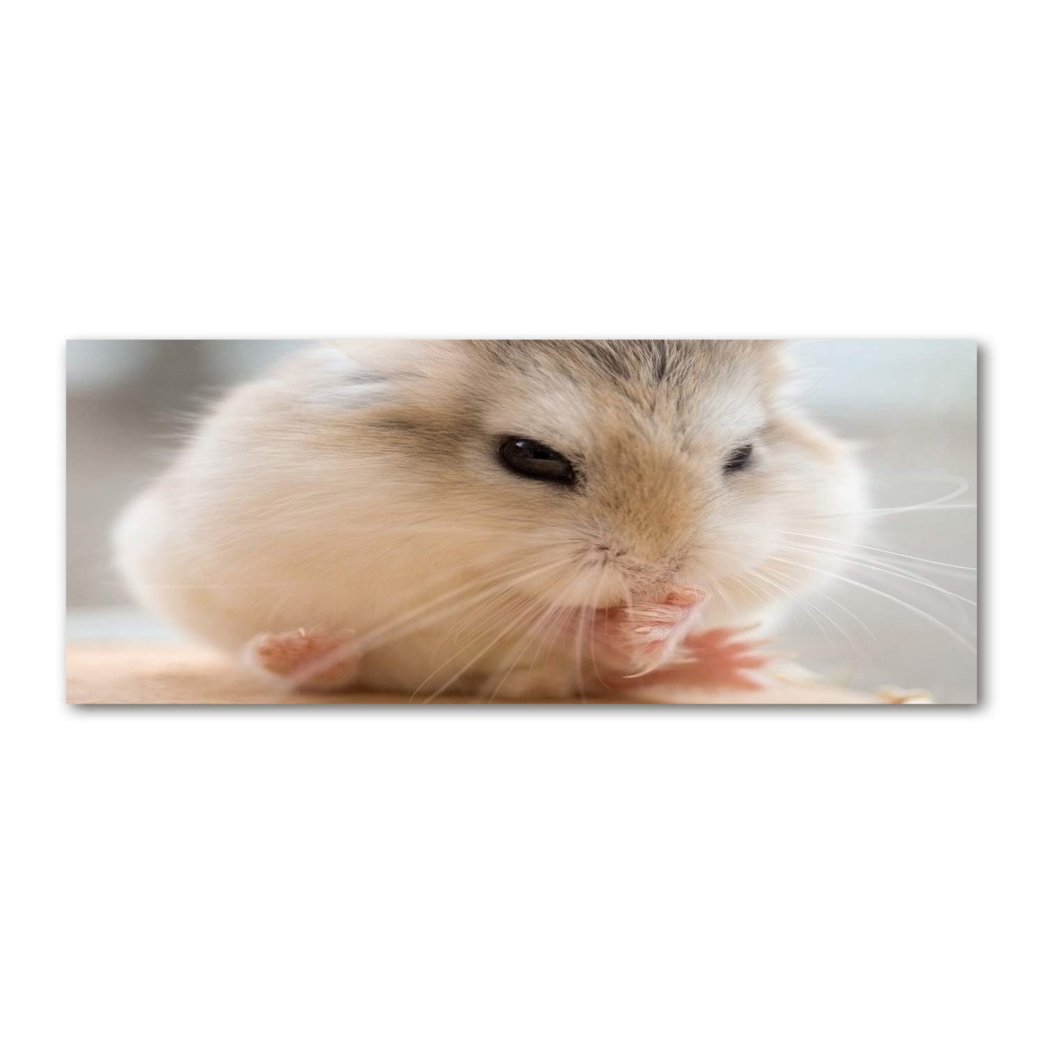 Tulup Crédence de Cuisine 125x50cm Dosseret en Verre Fond de hotte Verre de sécurité trempé Splashback Guard - Animaux - Beige - Hamster