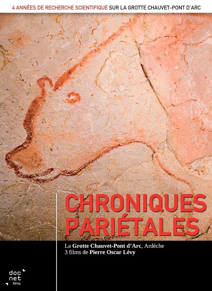 Cueva Chauvet en DVD el documental interactivo para resolver tus dudas sobre el arte rupestre