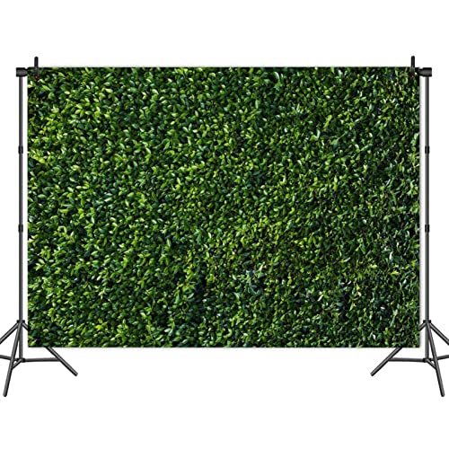 Fondo fotográfico HQM hojas verdes 5x3 FT miniatura 4