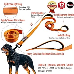 Dog Leash 6ft long,Traffic Padded Two Handle,Heavy Duty,Reflective Double Handles Lead for Control Safety Training,Leashes for Large Dogs or Medium Dogs,Dual Handles Leads(Orange)