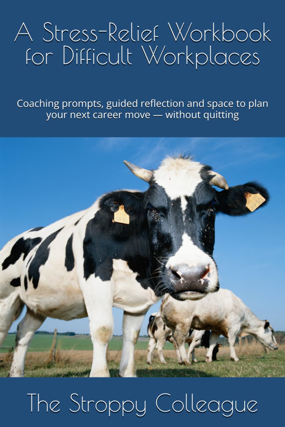 A Stress-Relief Workbook for Difficult Workplaces: Coaching prompts, guided reflection and space to plan your next career move — without quitting