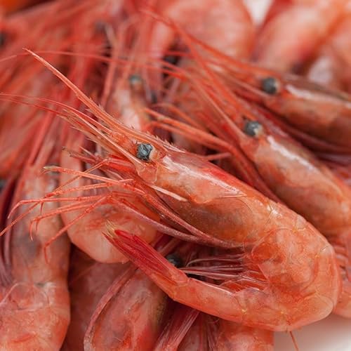 国産 生食用 甘海老 650g【動画あり】兵庫県 山陰 日本海 甘えび アマエビ LMサイズ(約70-80尾入) 刺身 素揚げ 唐揚げ 海鮮丼 かき揚げ 煮付け 新鮮 甘海老 船内冷凍 極上 美味しさ プレゼント ギフト お刺身 甘い 冷凍