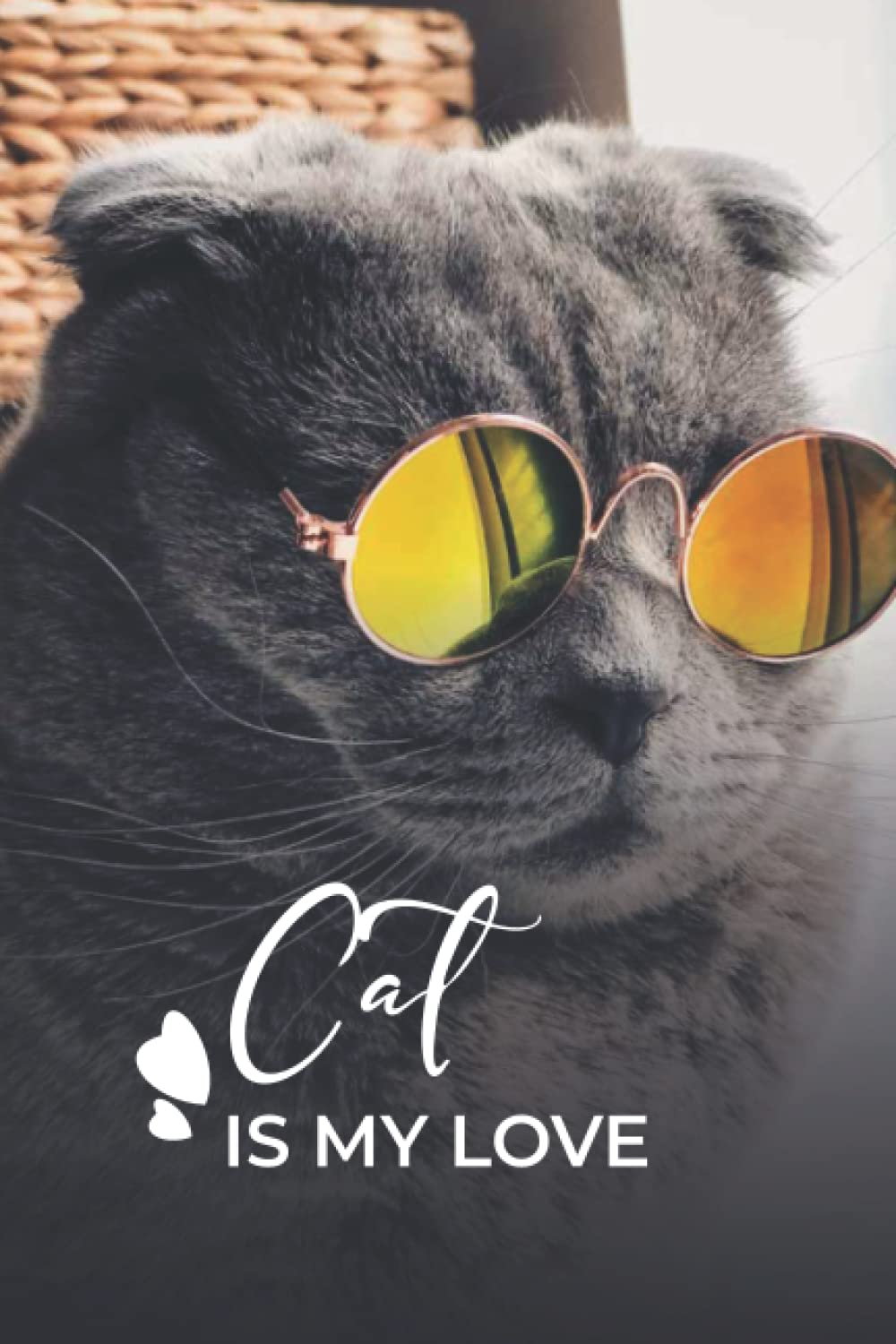 Cat is my love notebook - A good note for cat lover: 120 bullet sheets, 6x9 inches