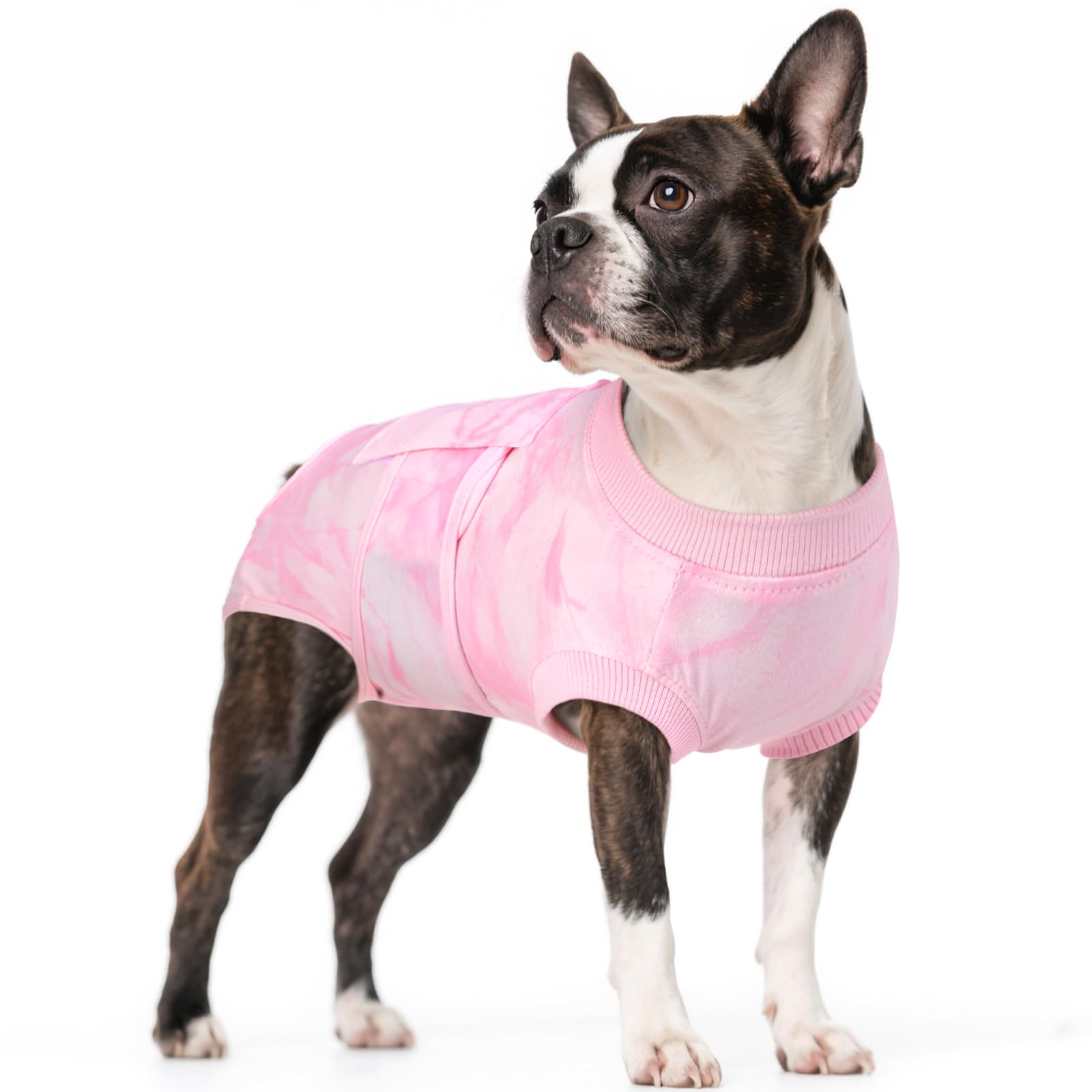 Kuoser Dog Surgery Recovery Suit, Anti Licking Surgical Suit for Dogs Male Neuter, Soft Dog Surgery Suit Female Spay Subsititute E-Collar Cone, Doggie