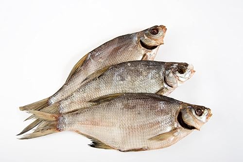 Pescado Lesh Salado Seco (Jerky) Calidad Premium