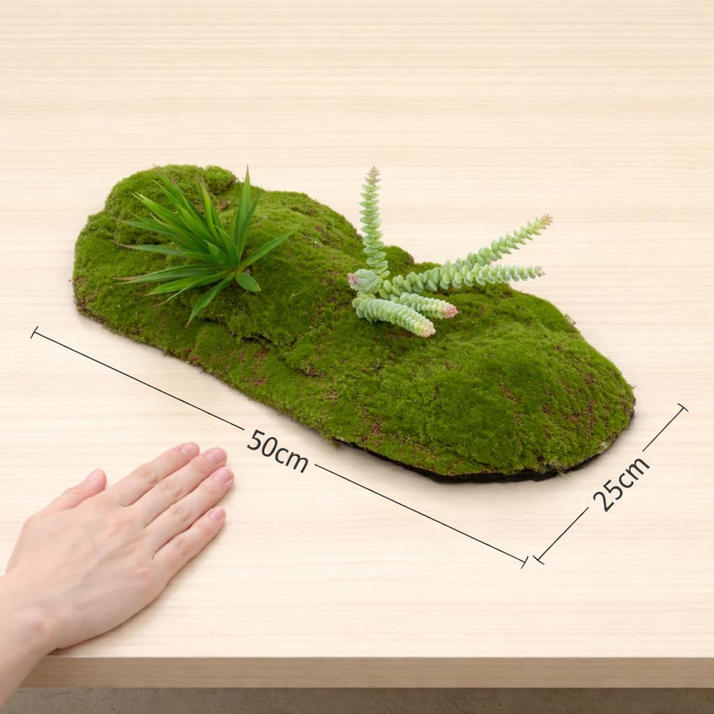 Artificial para Dioramas, Decoración Interiores, con Piedras, 25x20x17cm, Verde/Gris/